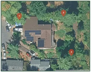 how-to-choose-a-tree-service-company-portland