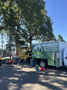 tree-service-in-tualatin-or