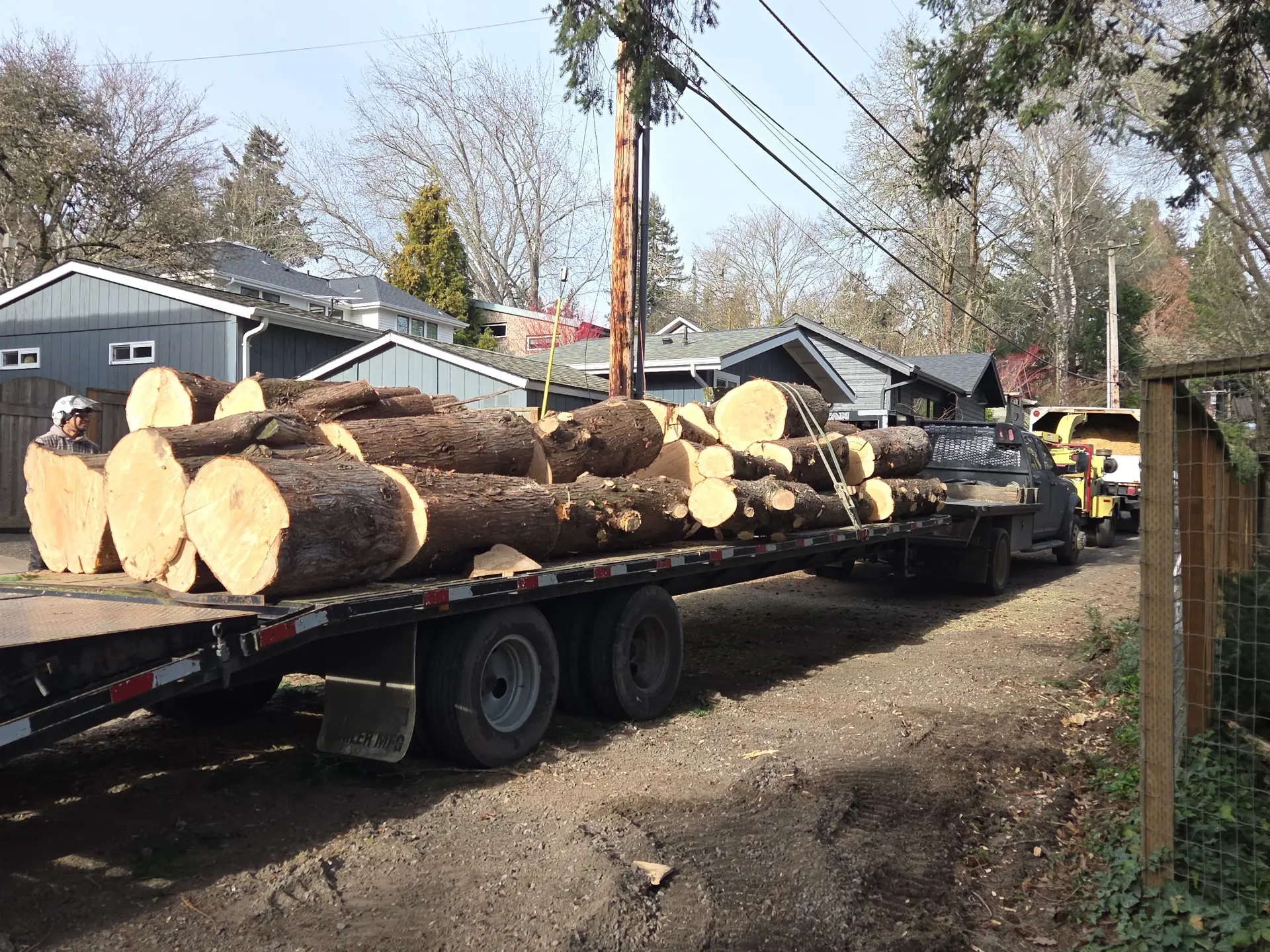 Tree Removal Permit Portland South Metro 2026 | Grove Tree Care