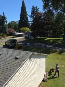 tree-service-in-sherwood-or-01